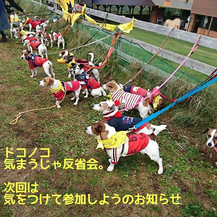 3f34d66f fc7a 4f6a 9f51 bc60dd002d49 1542160086219