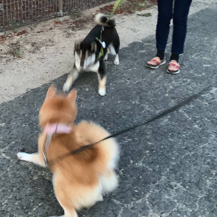 3f34df0a 597b 433b 91ef daa9a3a131c9 1724587578682