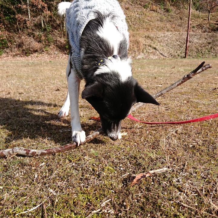 3f35470a 318e 4777 95bd a732d48830c7 1545744953983