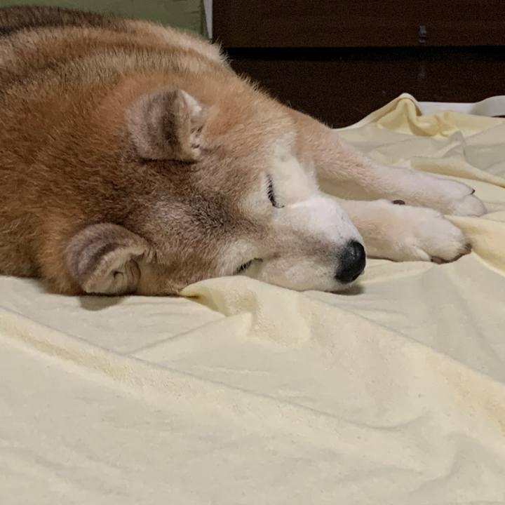 3f354ceb 68c9 484c 8fd9 7d38daa52bd9 1663921799914