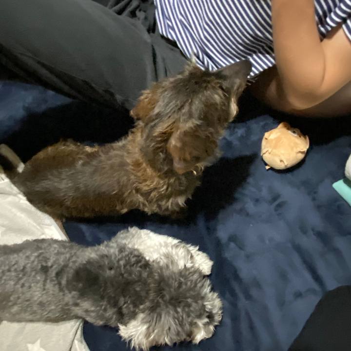 3f354dd0 35e8 4267 855f ef8908502235 1588437096164