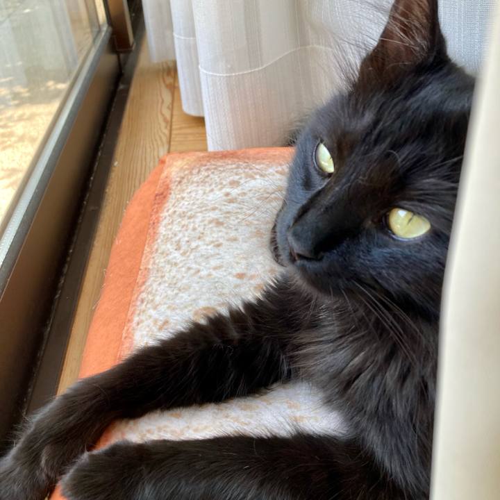 3f3552fd 6fac 43c9 87a5 f2f601041189 1749098028481