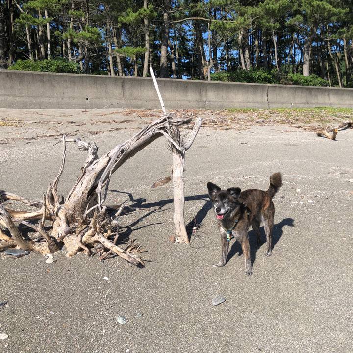 3f3571f5 9137 4b33 9fc3 1d0c71a9d5f3 1686022458694