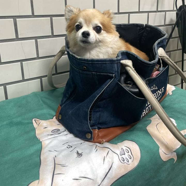 3f358ef0 1615 4e76 85ce 83ab35da4c39 1762248480670