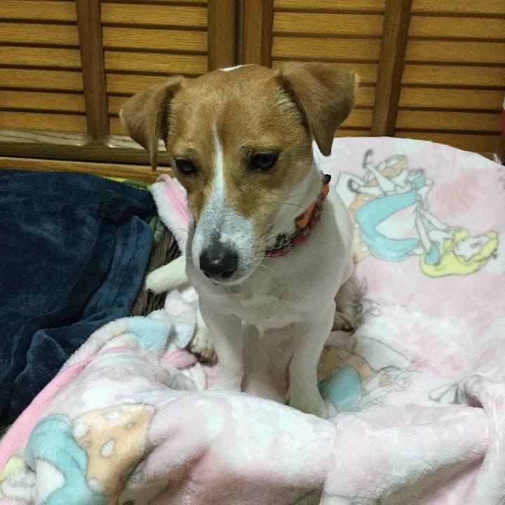 3f35ad15 4b05 4f0e be88 e47c14bd891a 1525685751204