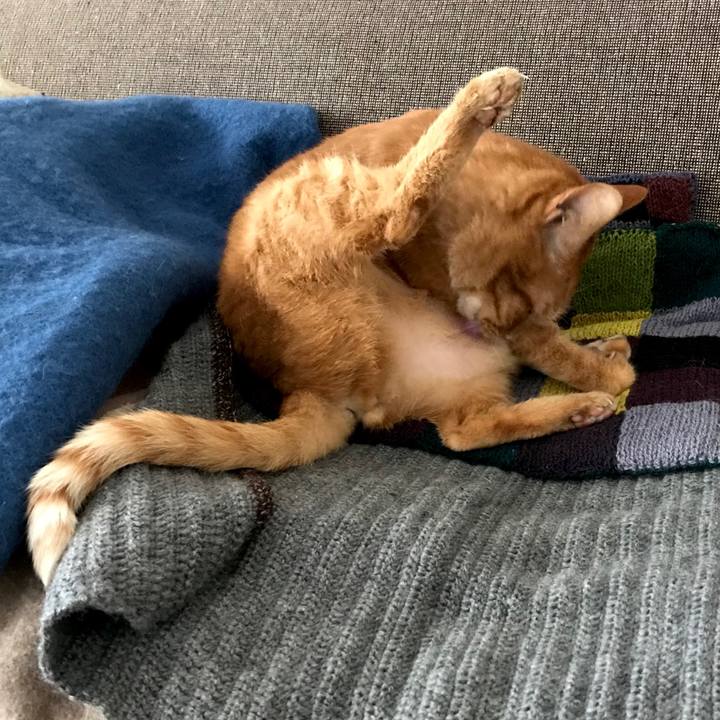 3f35dc3a c5e8 4c65 8b05 ab9e92a77e97 1575086034677