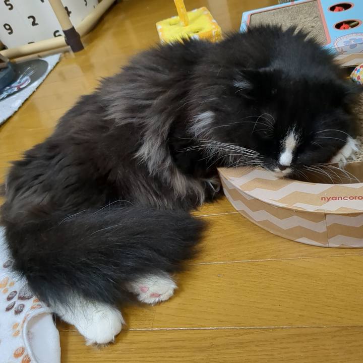 3f362ec5 0b23 41ce 8ab2 c09865e47eec 1685447872158