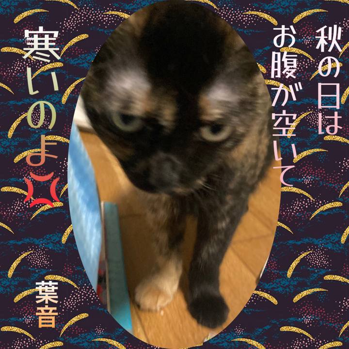 3f36a114 3701 4350 83f0 bbc908ed8a24 1664364563467