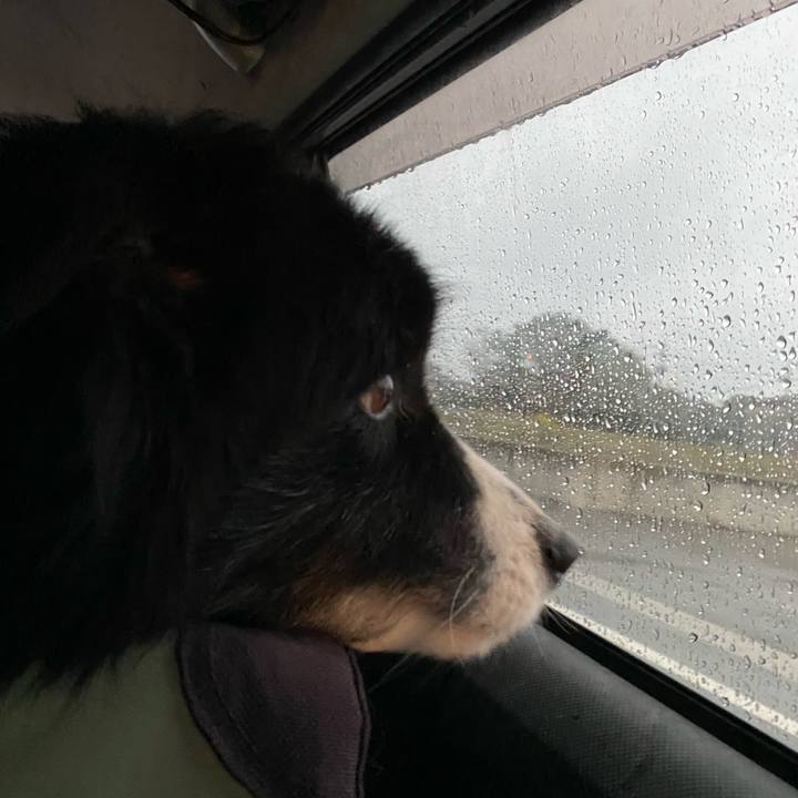 3f36b52a a551 4904 af31 cb02458cbbd0 1677189711305