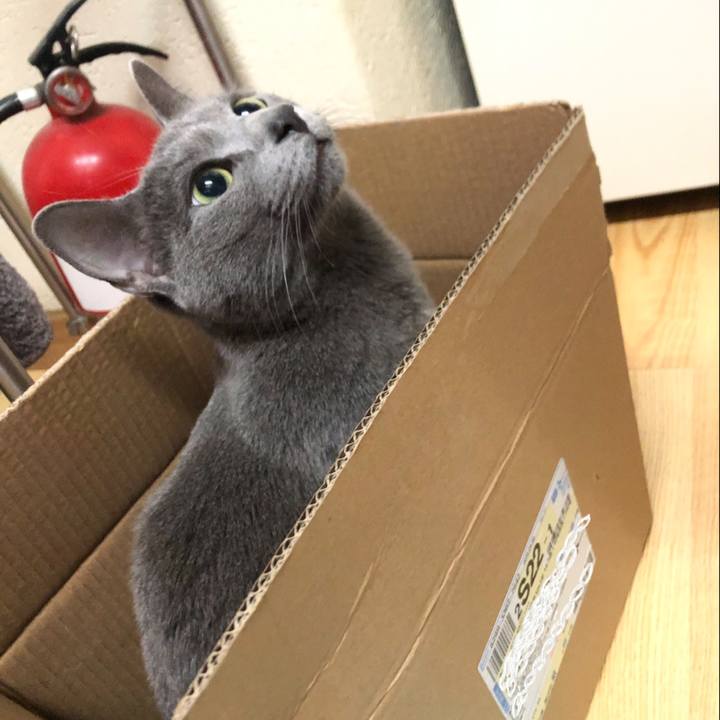 3f372d94 a56c 4d92 82f3 eebcd975e320 1586854938863