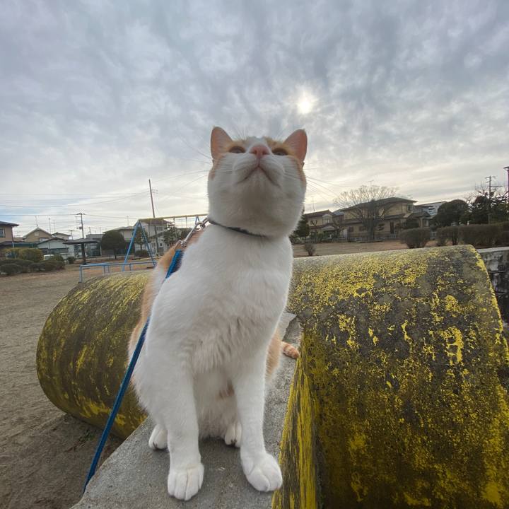 3f373dbc a96b 4100 91c5 0d4f6b1400aa 1578829983357