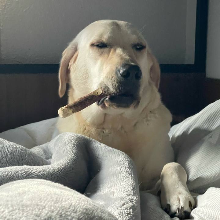 3f376247 6514 48ec a8b8 a735670dde5b 1636844754113