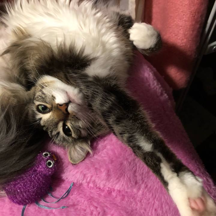 3f376c2c ec88 4c3a 88bd e1cf978d9376 1515299128078