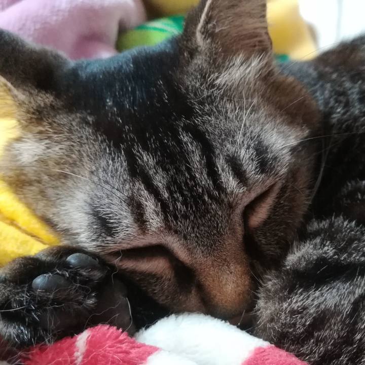 3f37a324 018e 442f b4d7 0f1110883f2f 1590140364053