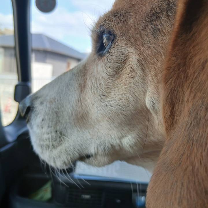 3f37abb5 6d4d 4e4b a0fb 6c76cbaebd2d 1772848015219