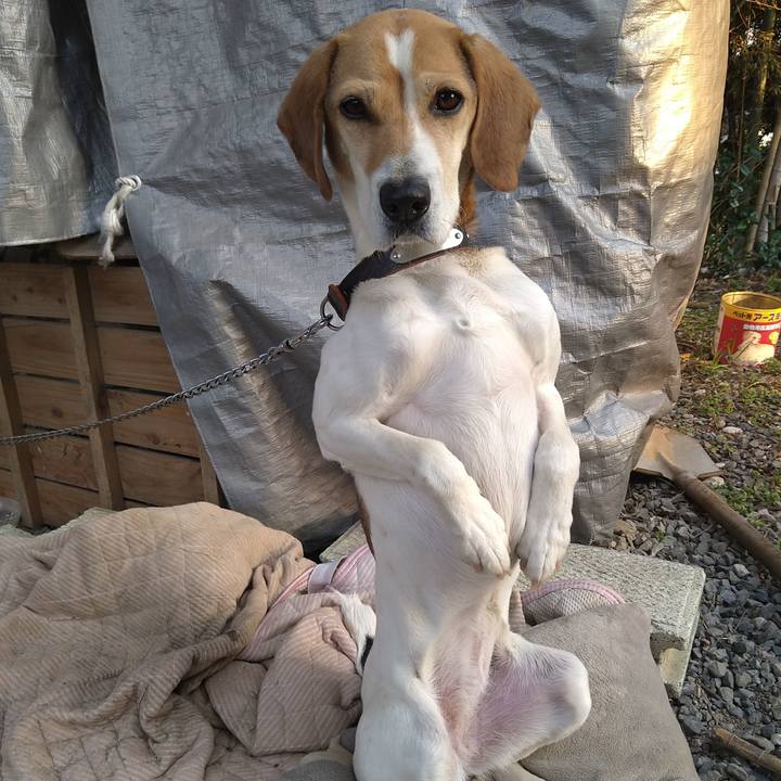 3f37af79 5838 4d22 8337 2b643069e3aa 1646817197041