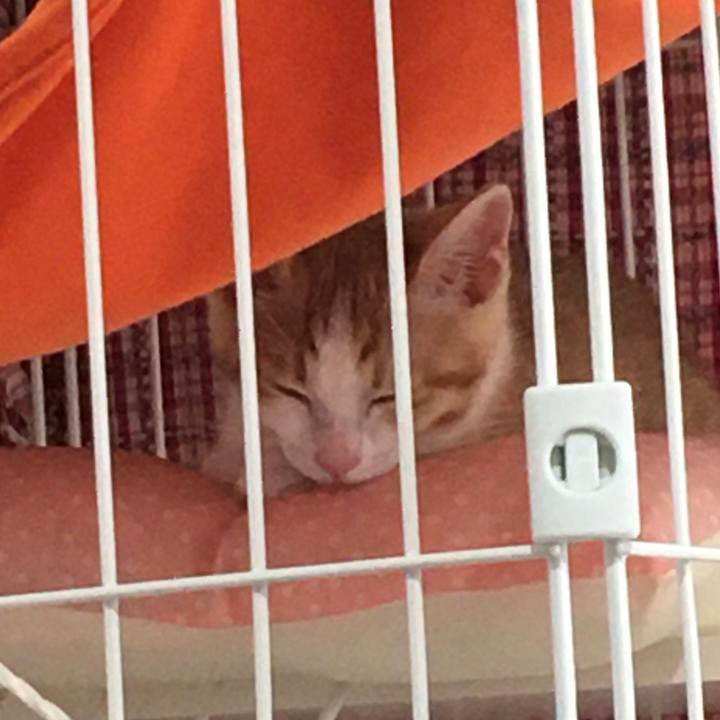 3f37b935 03cb 4d49 968b 2124e5407ba6 1631079176360