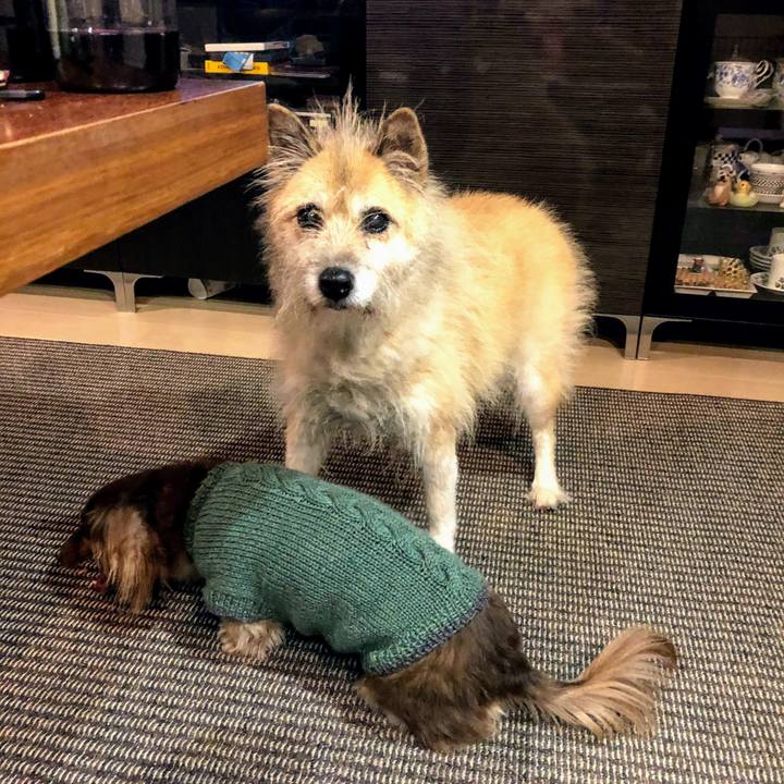 3f37bc1a 9f44 4bb8 ada9 56e7bd4e52e6 1575126746148