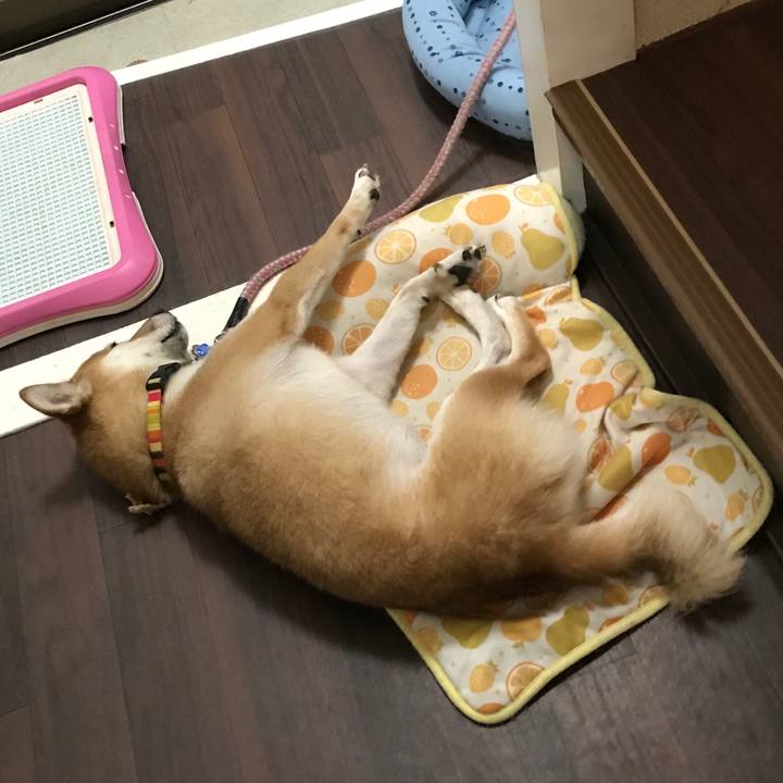 3f37c3c5 8786 4774 8657 6b167ac8f4c7 1536377696498