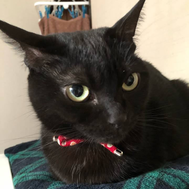 3f381538 4b0e 4f73 b87a 038e406ac642 1613946591669