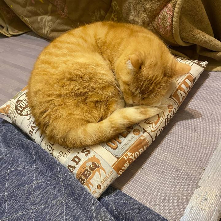 3f383fe3 414a 4792 9168 7a4f1f0a5960 1642653685926