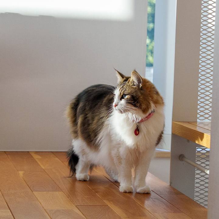 3f385684 89dc 49ca a38d 0adfe9931243 1742198819667