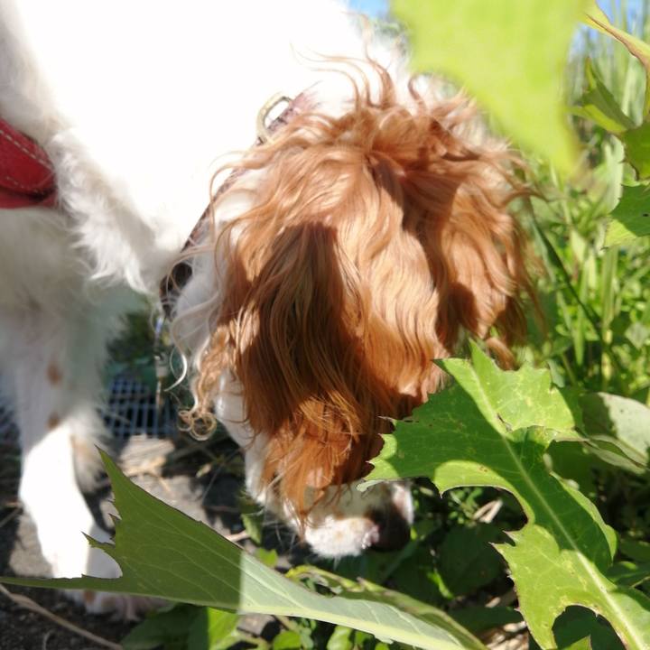 3f386a72 d259 47ae 805f f2d73700dfcb 1626522383681