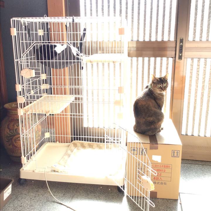 3f386b7b ef3e 4e6d 979e af57d396da44 1641095755353