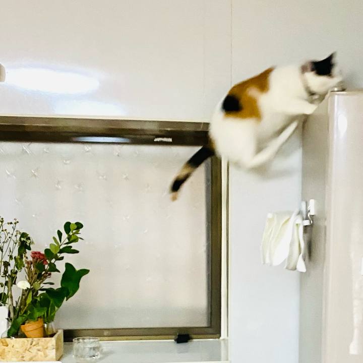 3f387d30 292b 4c04 acac 200b5eb73851 1670461409478