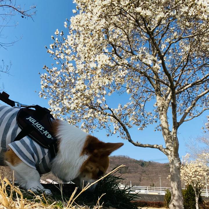 3f38a8dc 83e4 4412 b76e 78bca219ff6c 1615730023336