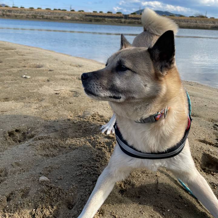 3f38b2ca 3086 4d41 9b98 1dc2841f9a7e 1709980811138