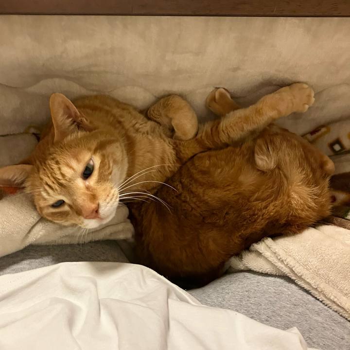 3f391f46 bee9 4748 a72f cb03fb339d4c 1774360784547