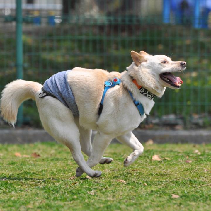 3f394bf0 ab2b 4c8a 9d9e 735e4b0e58c7 1522062262978