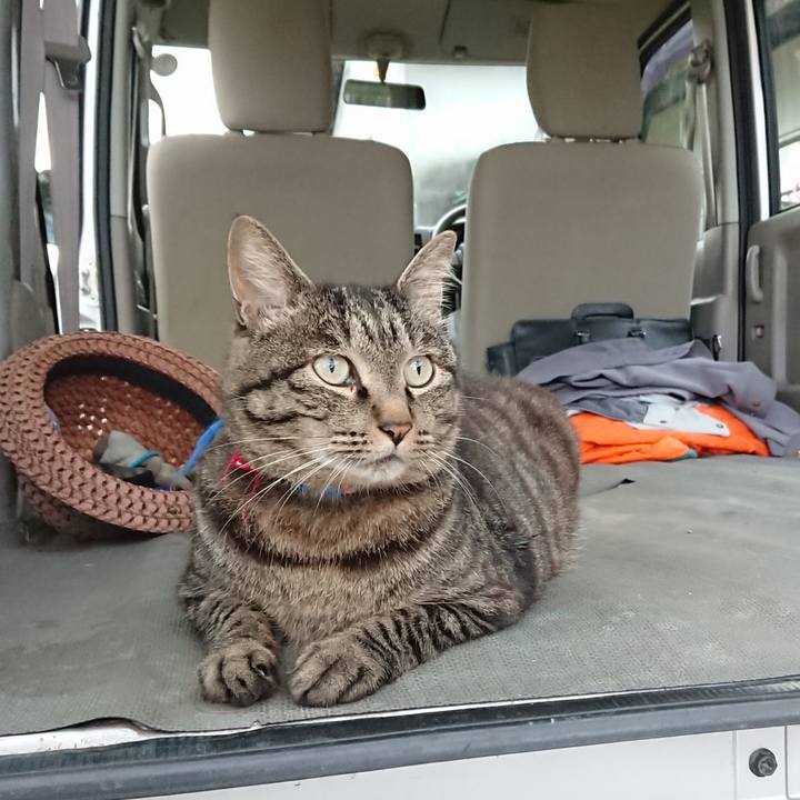 3f39503b c49a 4f3f 8638 c14a977bf6c7 1657617578241