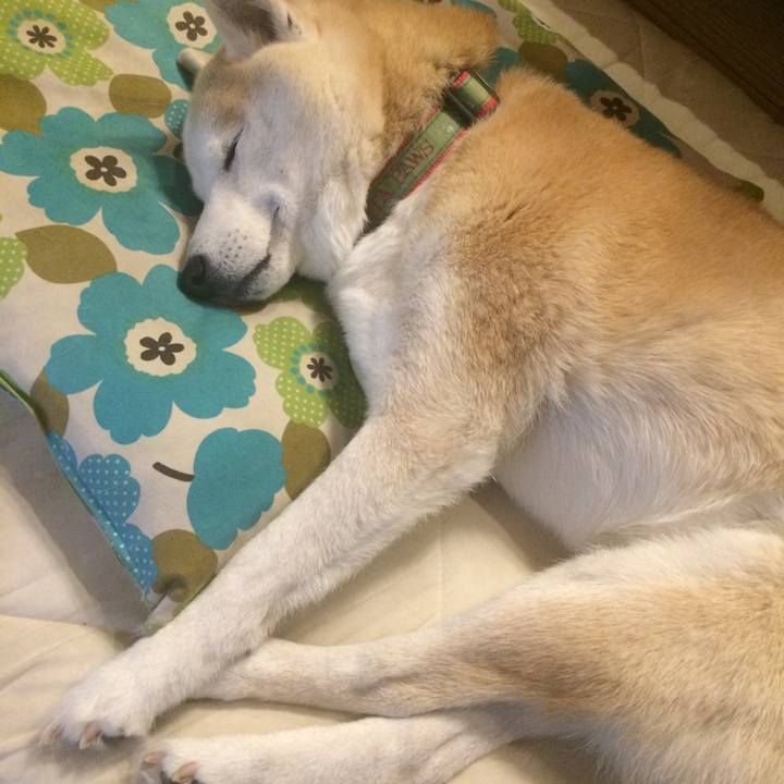 3f396f65 0cfd 4b7f 84ec 1b9785cd0292 1549177219046