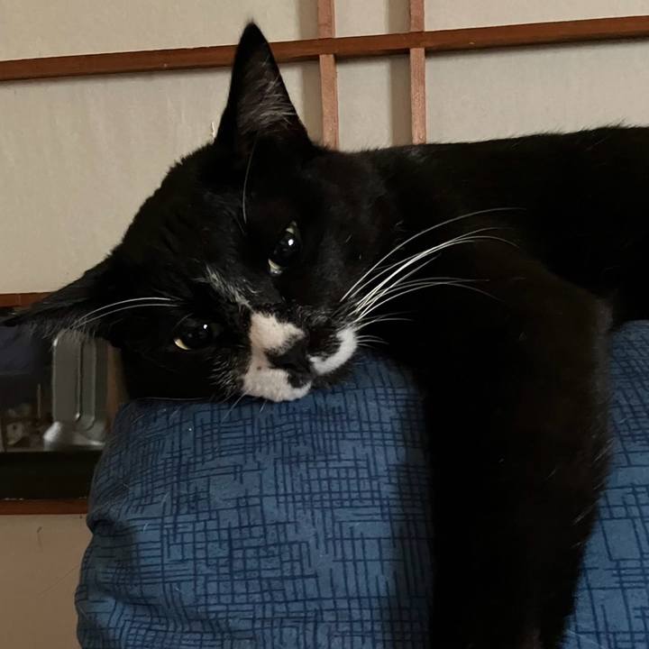 3f39a534 c37b 4634 bf73 3f887fecaedb 1726630378943