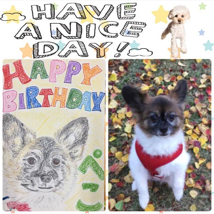 3f39b1d1 a748 487d 9327 9b81a2b6c1c0 1514505597154