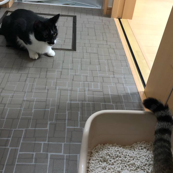 3f39c3ef 8ff1 4ca6 965e 701ed29e0bd9 1542000652166