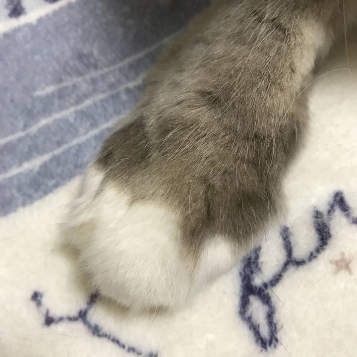 3f3a200a 9805 4c36 8bee fdd1076efbdf 1519220425342