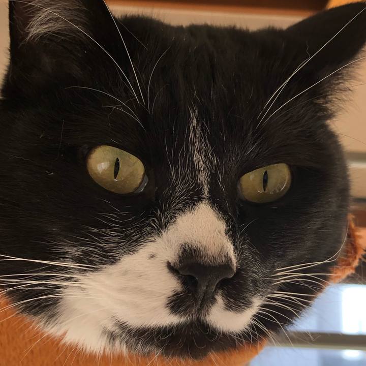 3f3a6100 1fb8 4843 8645 1fbc4be3e01f 1615624580364