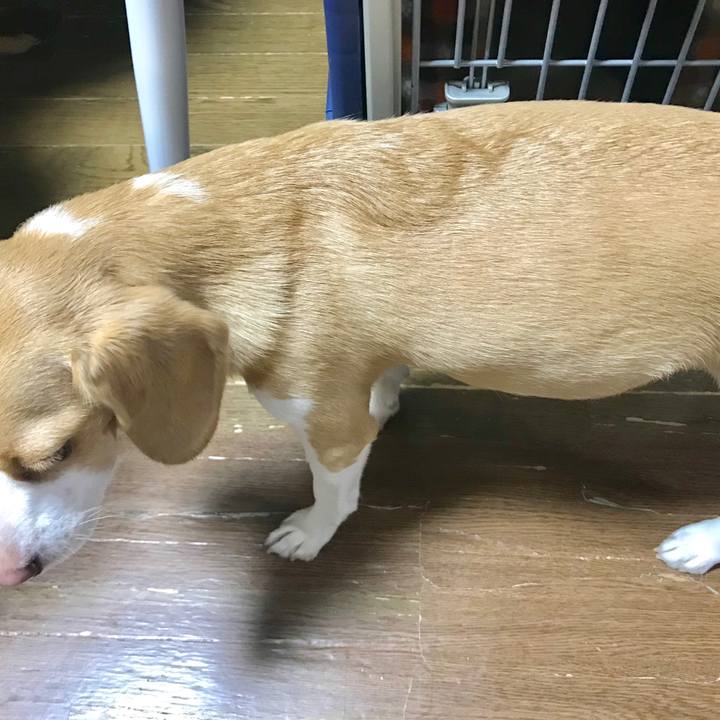 3f3a8754 f6d7 4b65 99ee b1092d853528 1563017505738