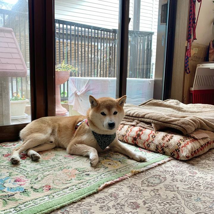 3f3a8eb0 53aa 4045 9afd 1c49f719038d 1647600383793