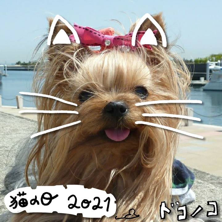 3f3aabf6 94c1 4530 bbdf 0e3b35883c1d 1613963409797