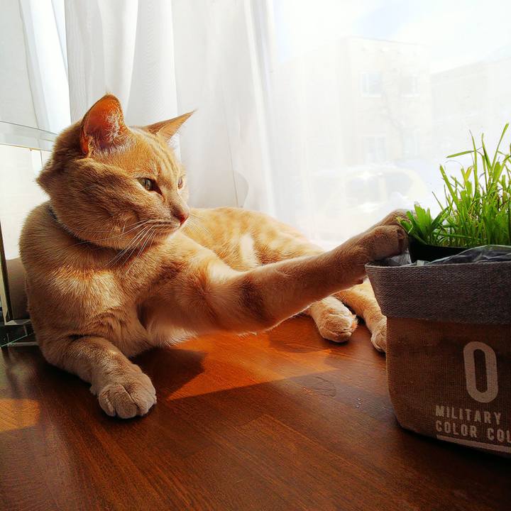 3f3aada2 ebfa 4a17 b531 ea147ff0887a 1610242989189