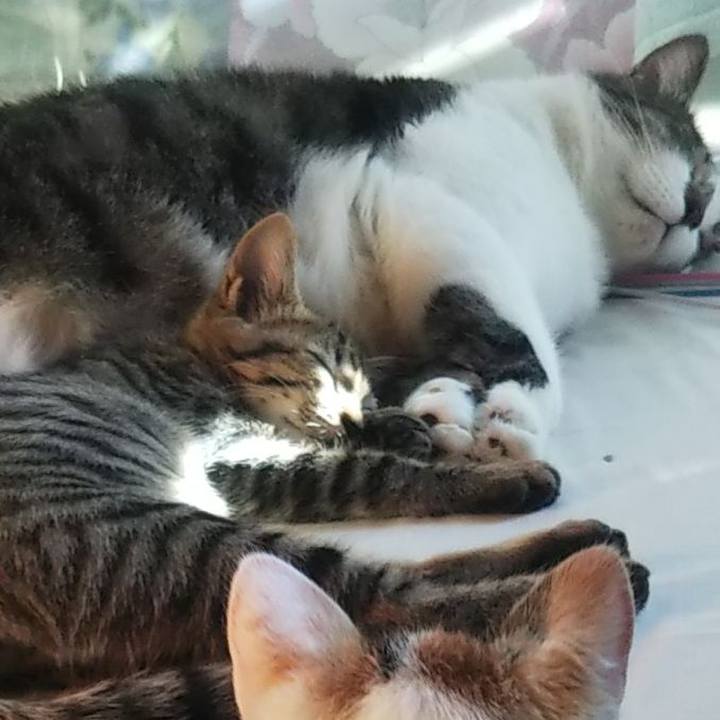 3f3ab296 4666 4dd9 8491 13a19016e4c2 1636374023877