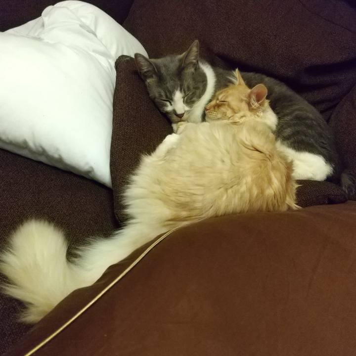 3f3ac1eb c80f 48c0 a745 1c8cdd12e988 1616838401603