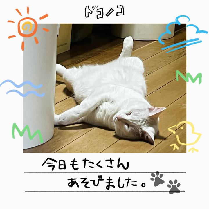 3f3b35d9 275c 4280 9dfe 8c18afb672e1 1755520446502