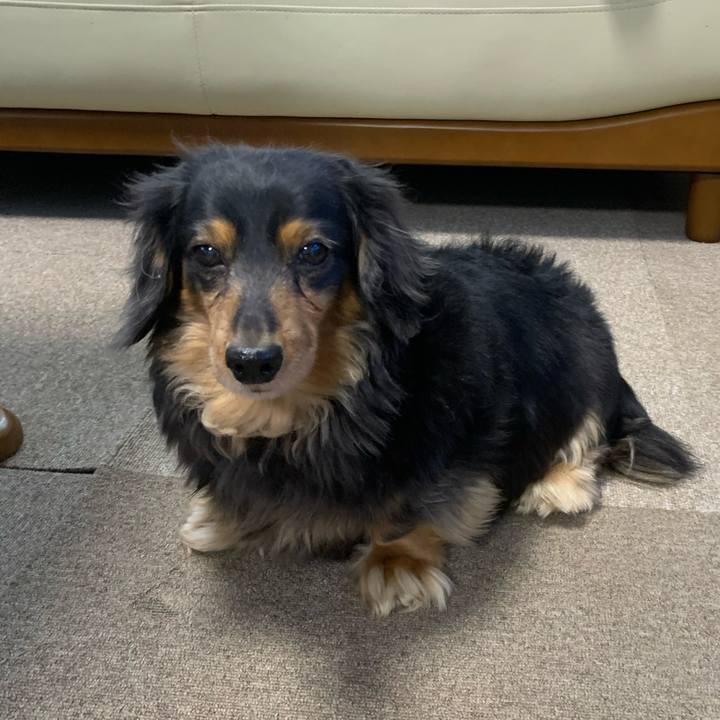 3f3b61f7 72ed 41cb 81e6 90bbc8827027 1582064364821