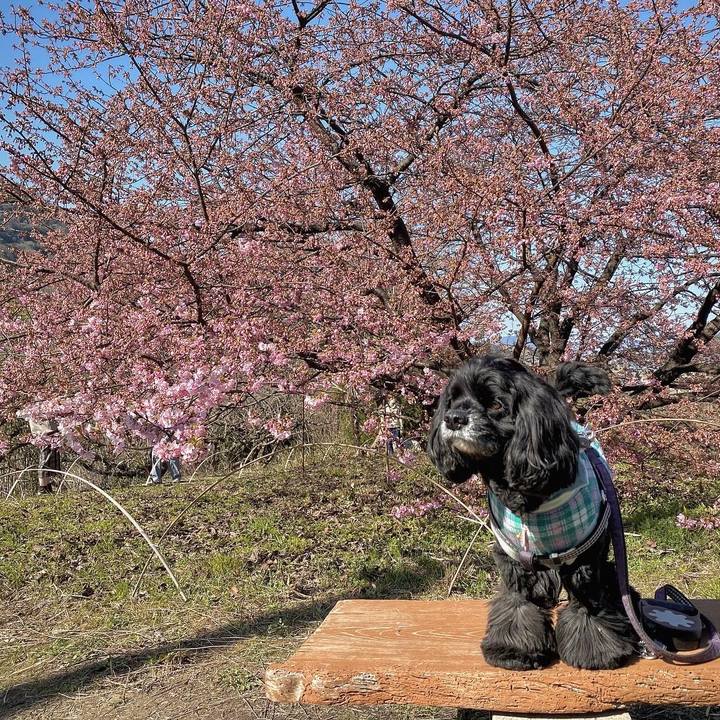 3f3b770b 58c3 4efa 96b3 fb75c1c8a0c1 1678094305074