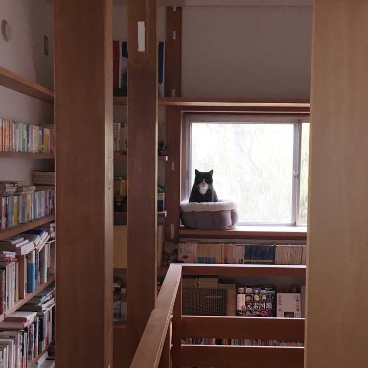 3f3bf439 4ffe 4afc aa1a 8ad79f9c3065 1576976891553